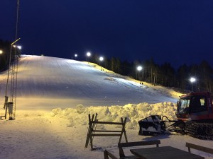 alviken stora backan